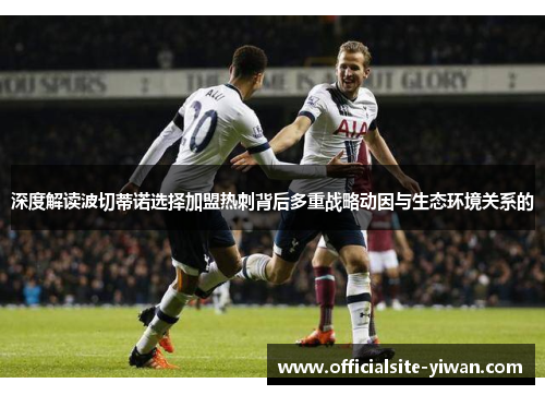 深度解读波切蒂诺选择加盟热刺背后多重战略动因与生态环境关系的