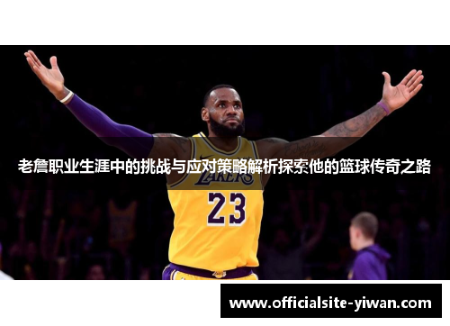 老詹职业生涯中的挑战与应对策略解析探索他的篮球传奇之路
