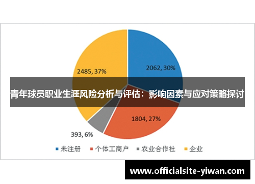 青年球员职业生涯风险分析与评估：影响因素与应对策略探讨