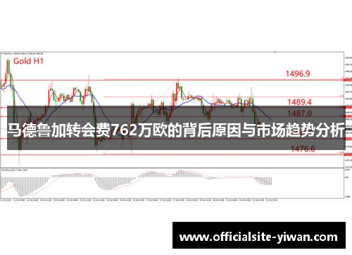 马德鲁加转会费762万欧的背后原因与市场趋势分析